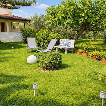 Meraviglia D'otranto- Garden Con Parcheggio E Convenzionata *