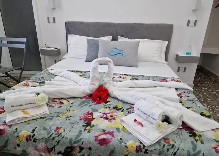 Meraviglia D'otranto *