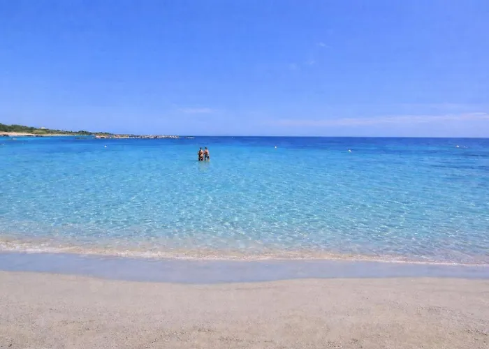 Meraviglia D'otranto *