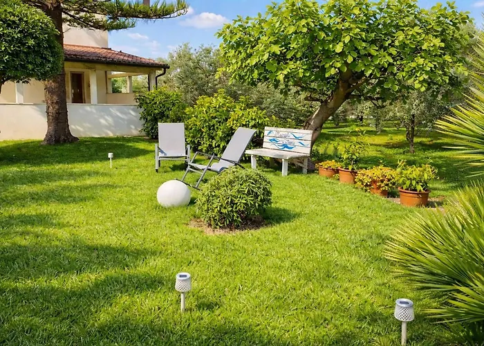 Meraviglia D'otranto *