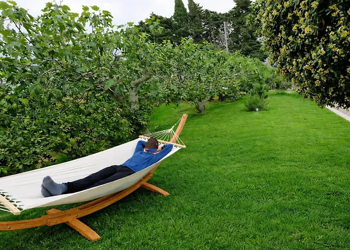 Meraviglia D'otranto